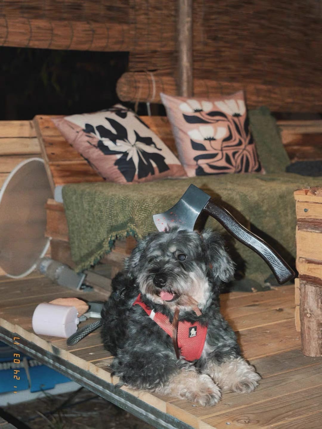 Customer photo review of Spooky Killer Knife Dog Costume