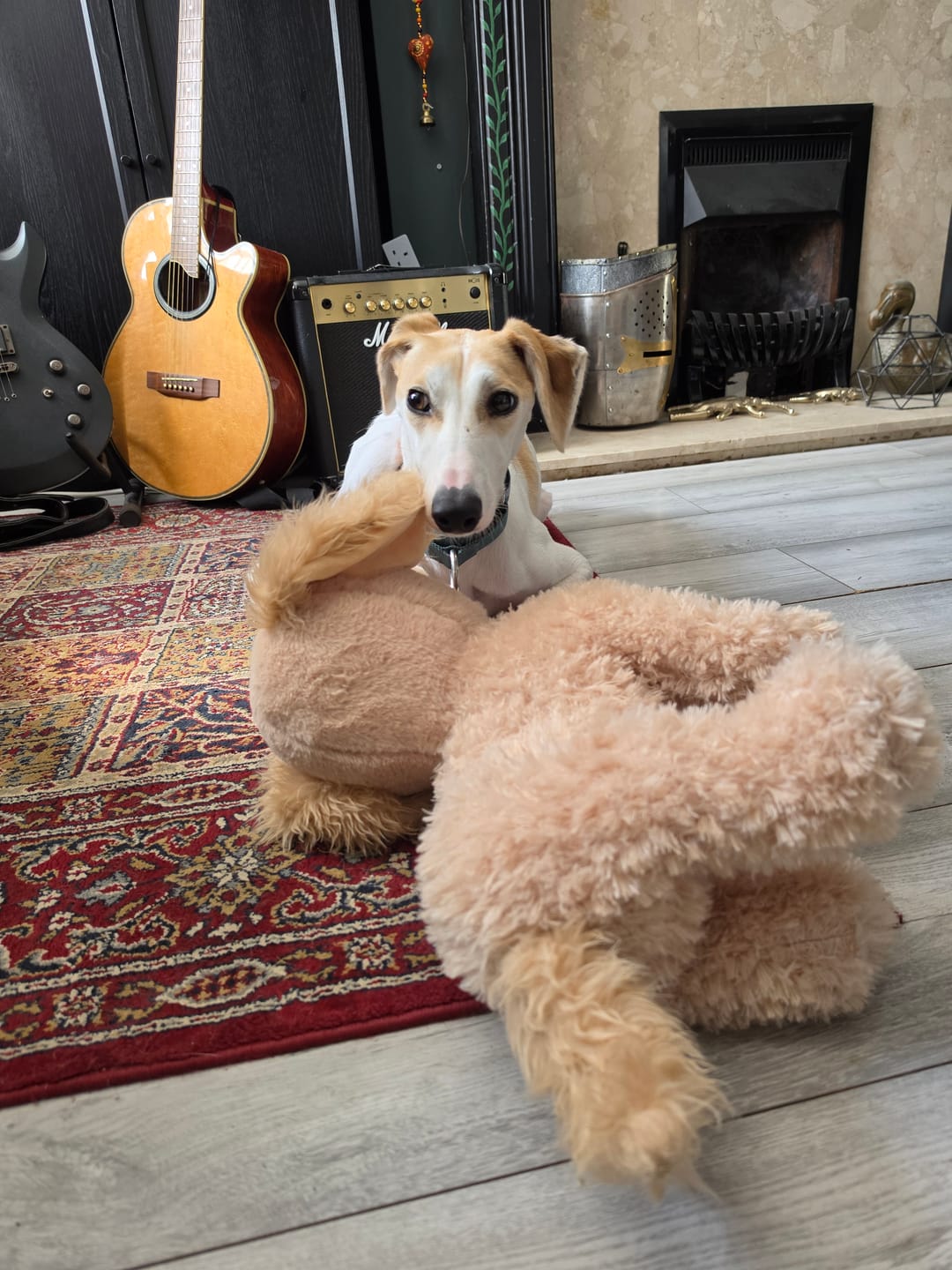 Customer photo review of Muttley Crew Selection