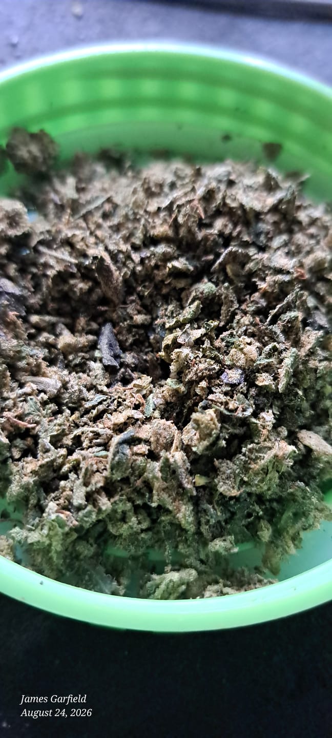 Customer photo review of (Buy 1 Get 1 Free) Purple Cake Shake 1oz