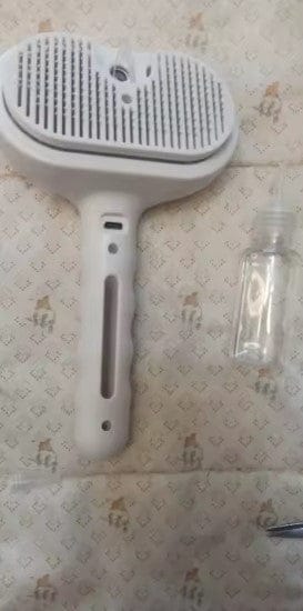 Customer photo review of Brosse vapeur - FurMist