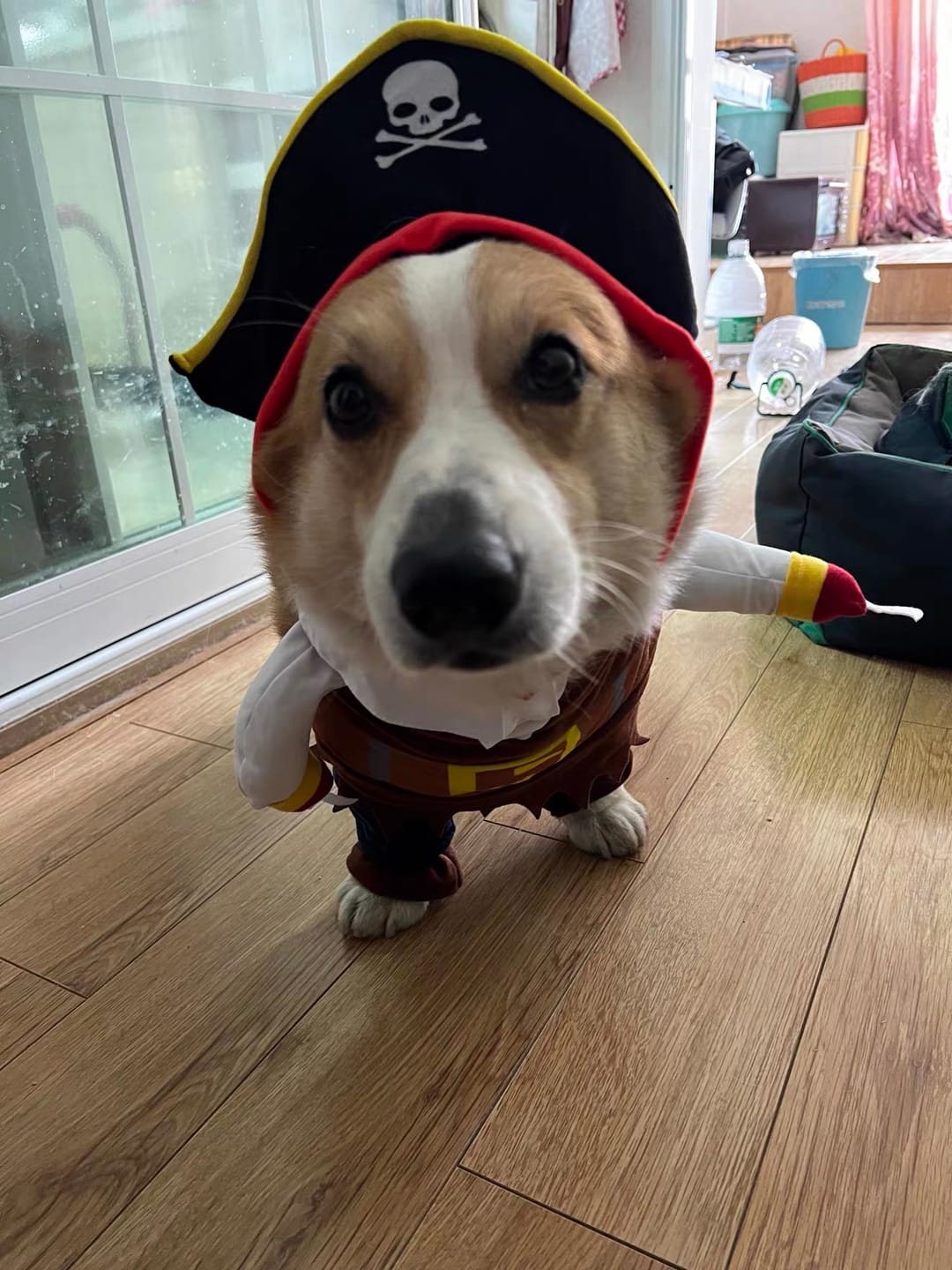 Customer photo review of Costume Pirates of The Caribbean Style