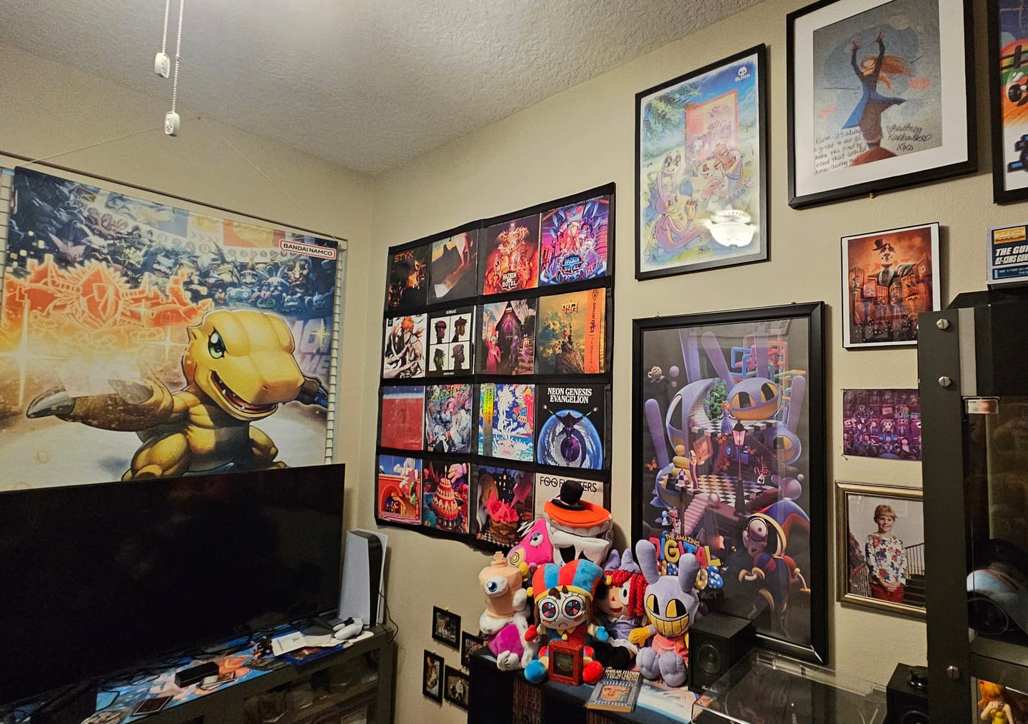 Customer photo review of 12" Vinyl Record Display Frame - LP Wall Storage