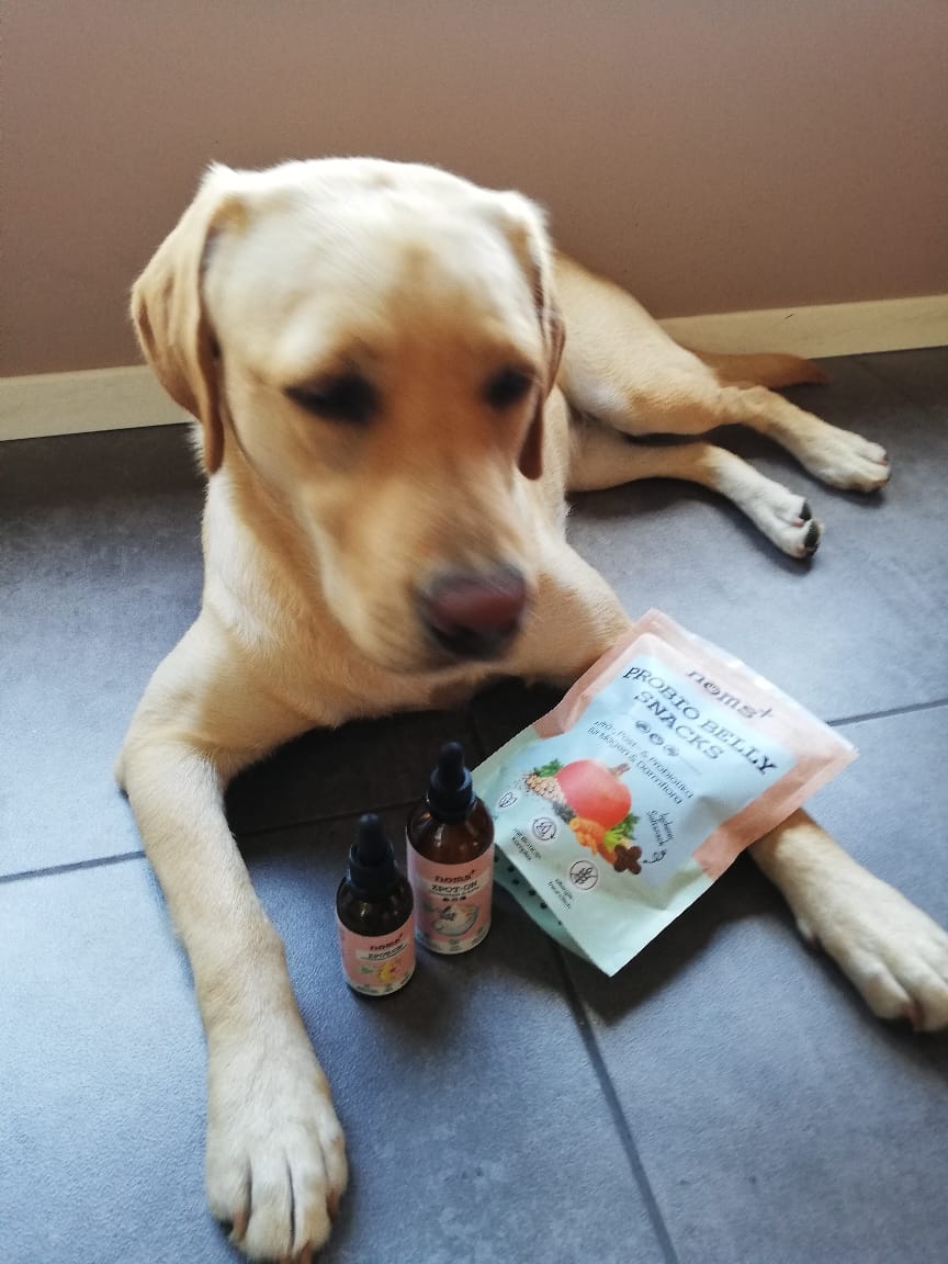 Customer photo review of Probio Belly Snacks für Hunde mit BIOTICS³-Komplex: Präbiotika, Probiotika & Postbiotika