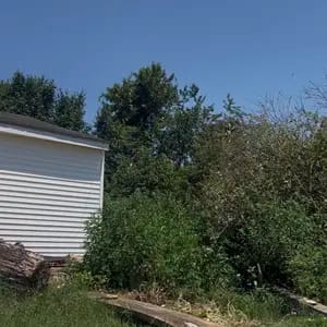 Customer photo review of 🌿⚡21V 3-in-1 Cordless String Trimmer, Edger & Mini Mower – 2 Batteries Included