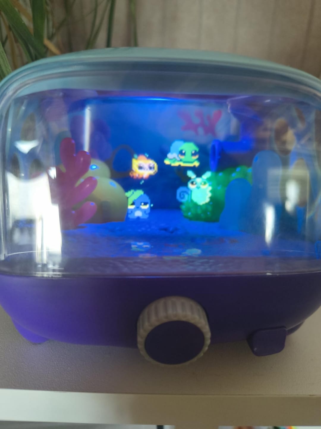 Customer photo review of Bitzee Aquarium Fish Tank