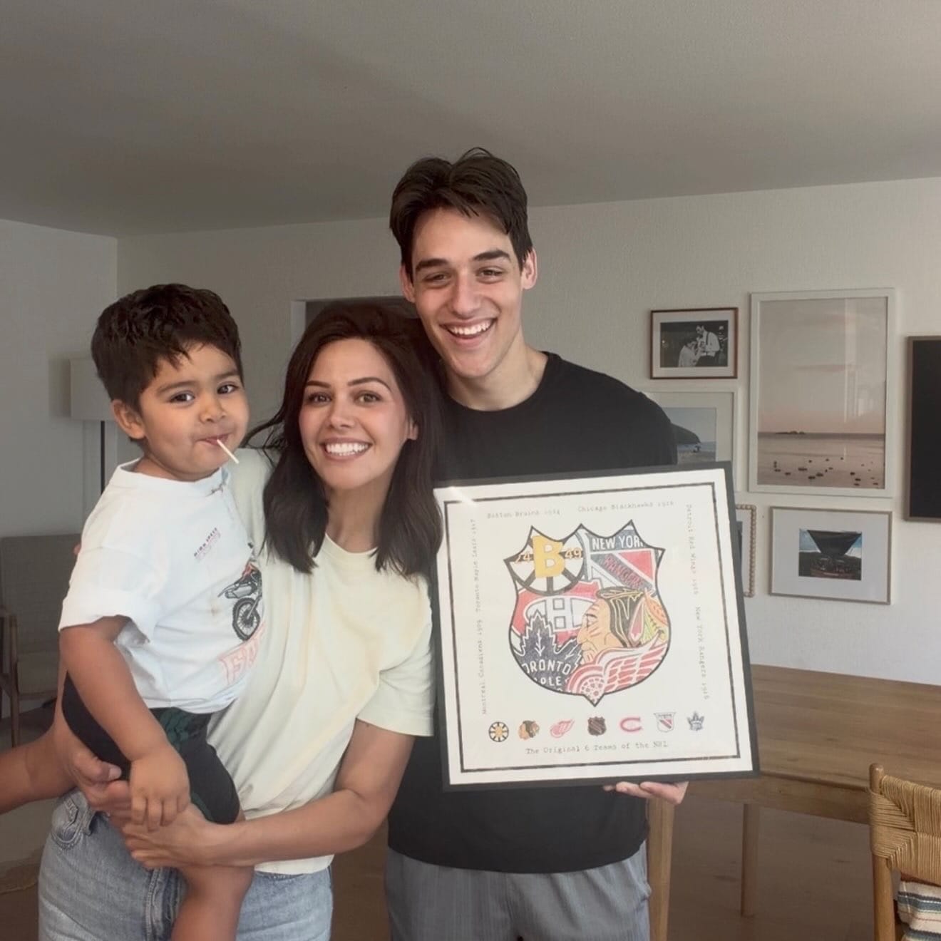 Customer photo review of The Original 6 Shield