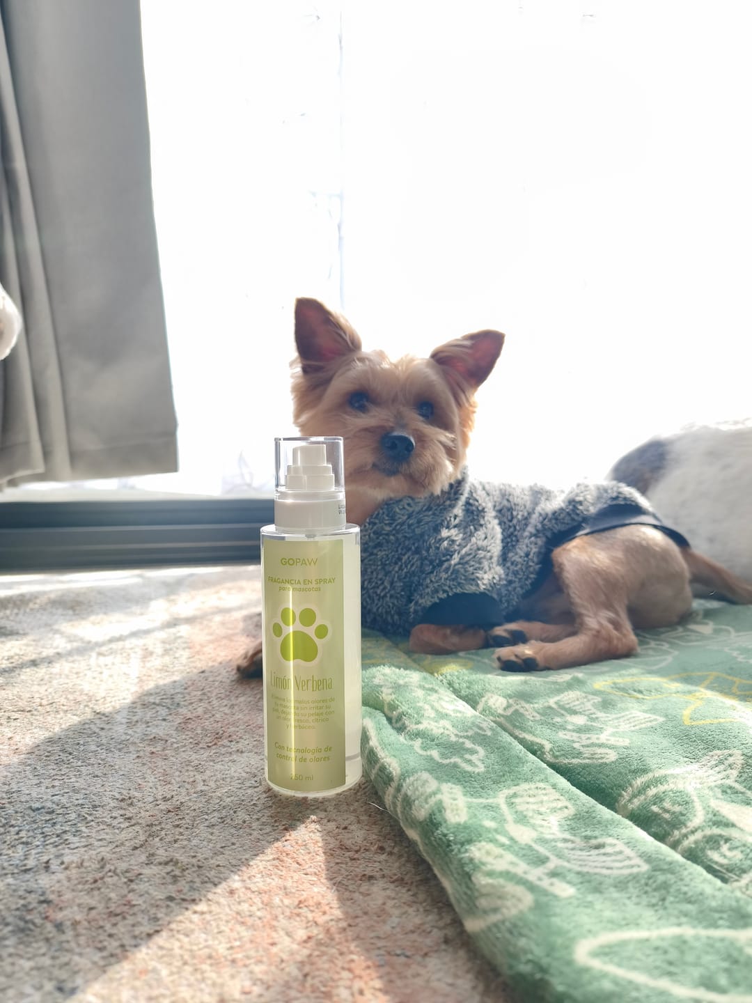 Customer photo review of Fragancia Para Mascotas Elimina Olores - Limón Verbena