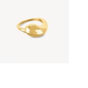 Customer photo review of Anel Gota