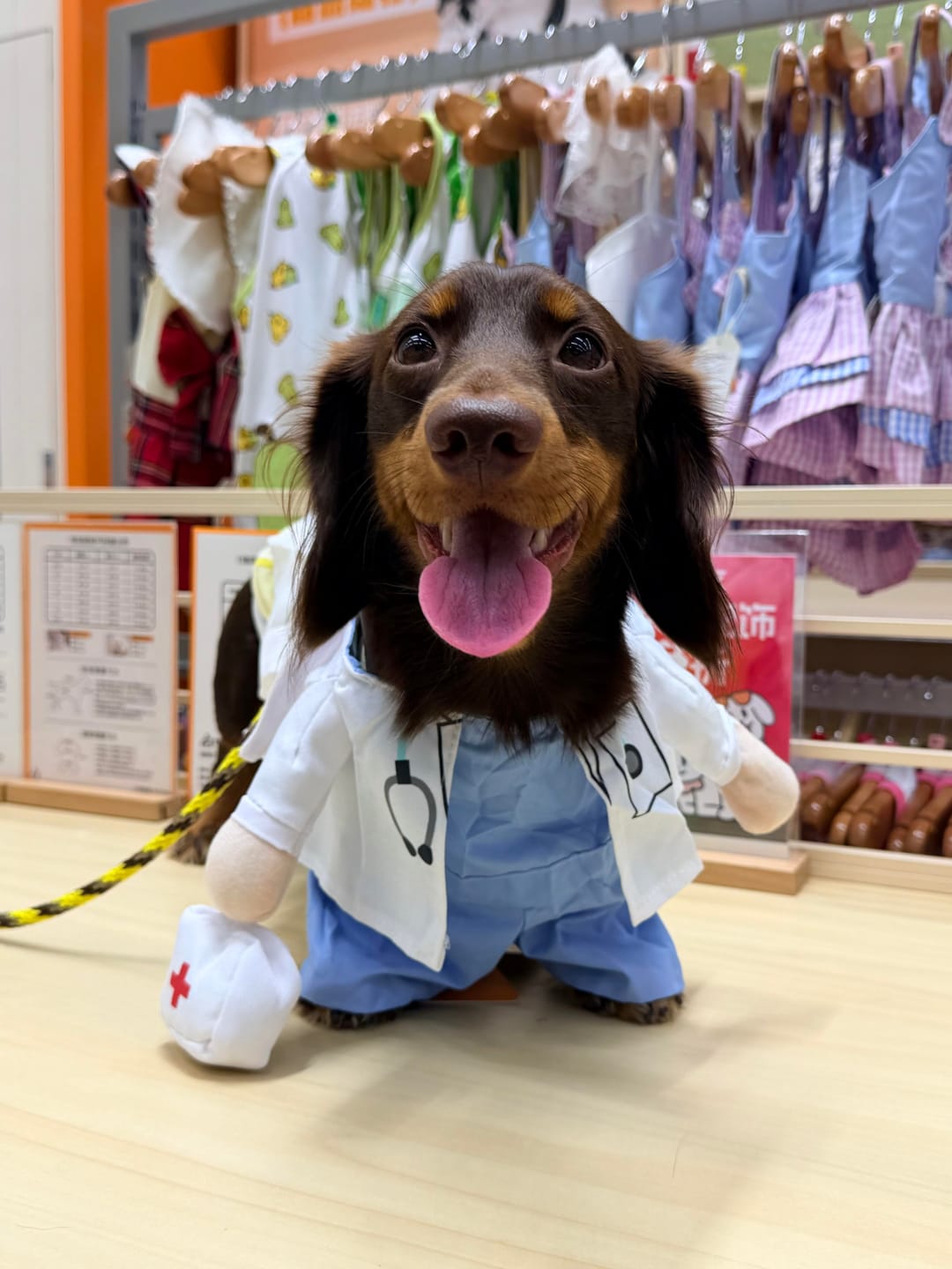 Customer photo review of Doctor Costume