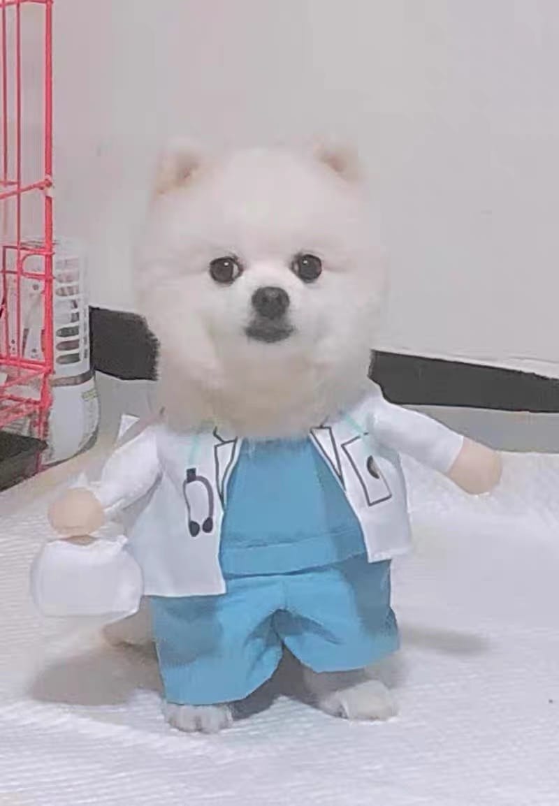 Customer photo review of Doctor Costume