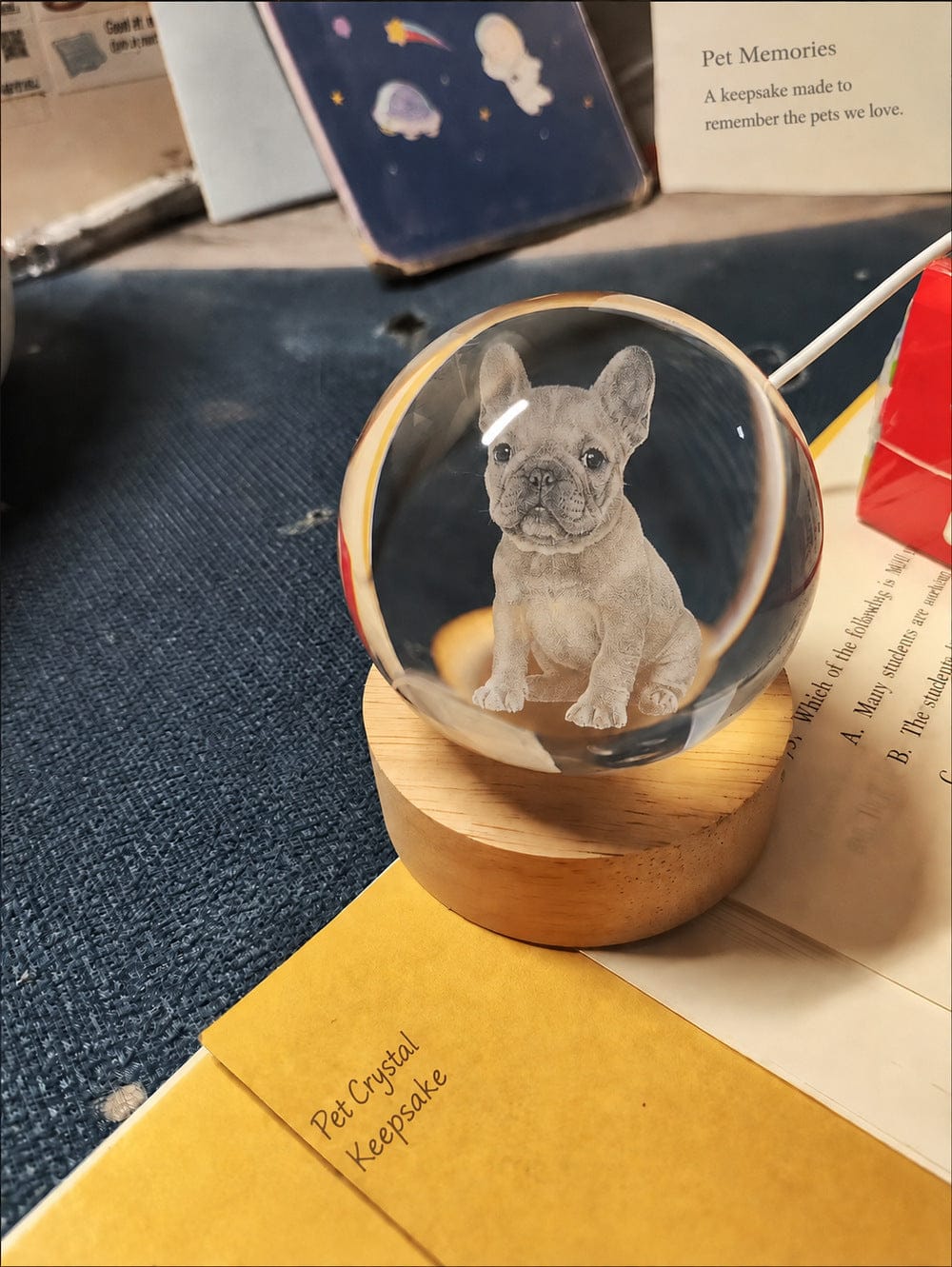 Customer photo review of 3D Pet Portrait Sculpting Crystal Night Light