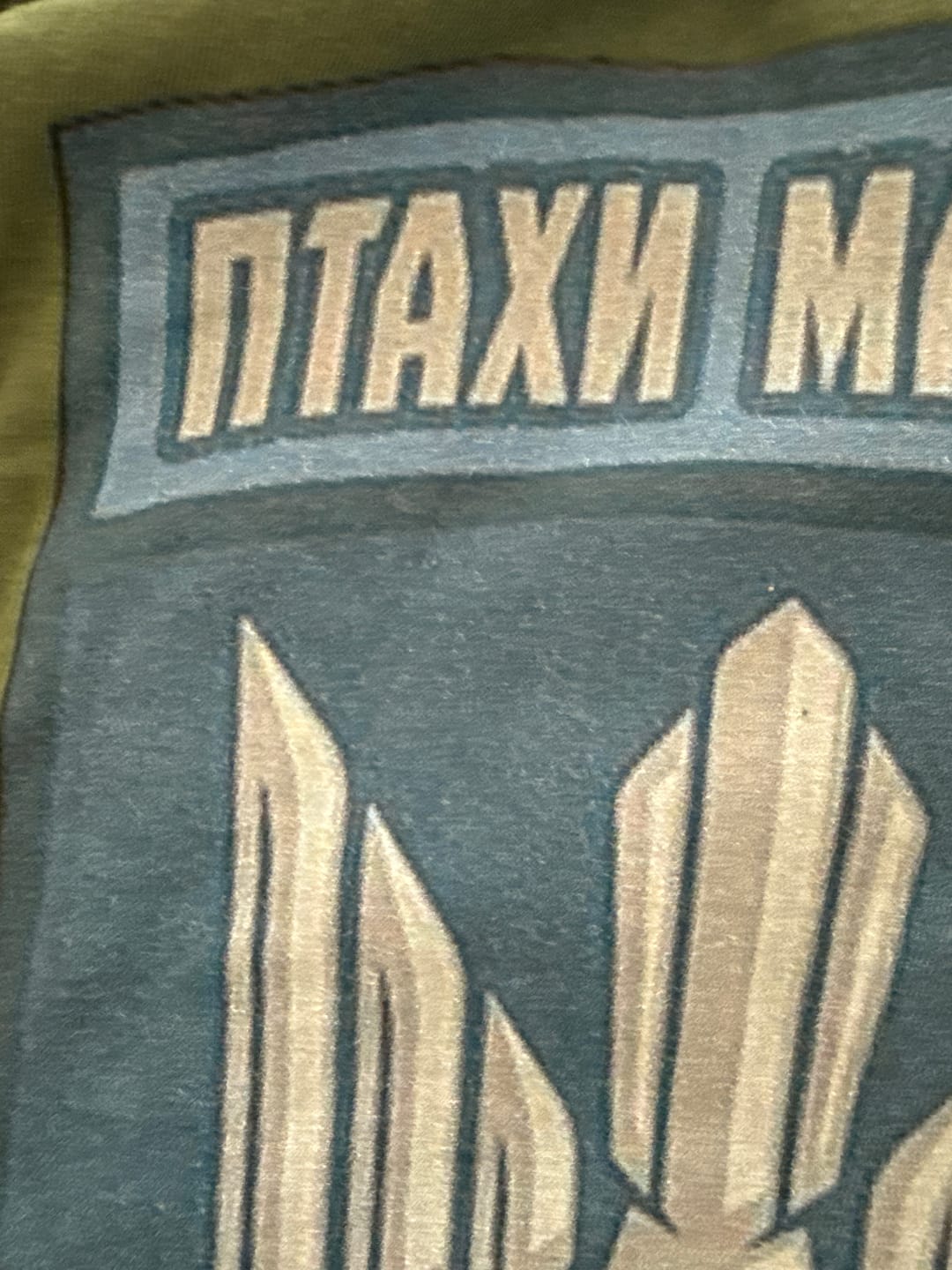 Customer photo review of Magyar's Birds T-Shirt