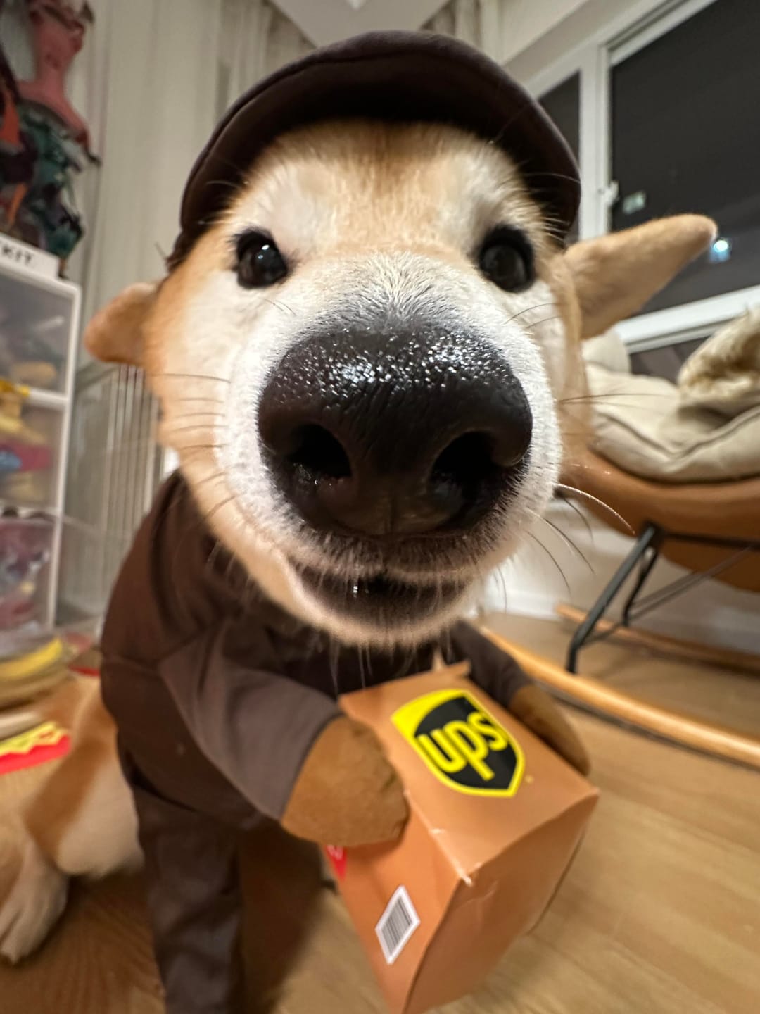 Customer photo review of UPS costume