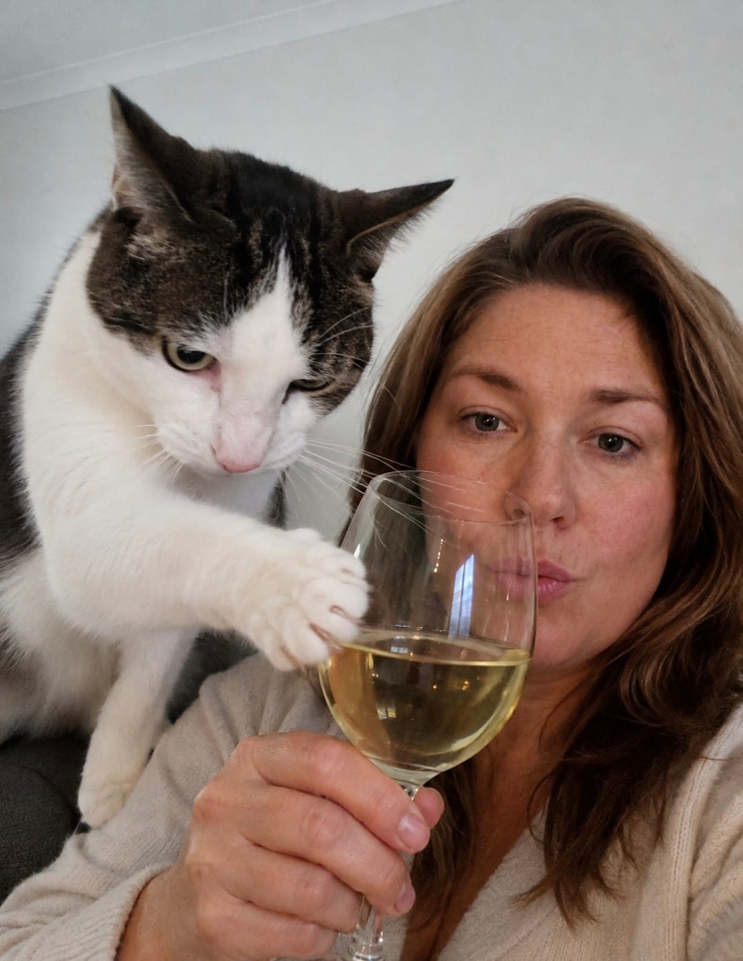 Customer photo review of Zero Sugar Pinot Grigio – Vegan Australian White Wine | 6 Pack