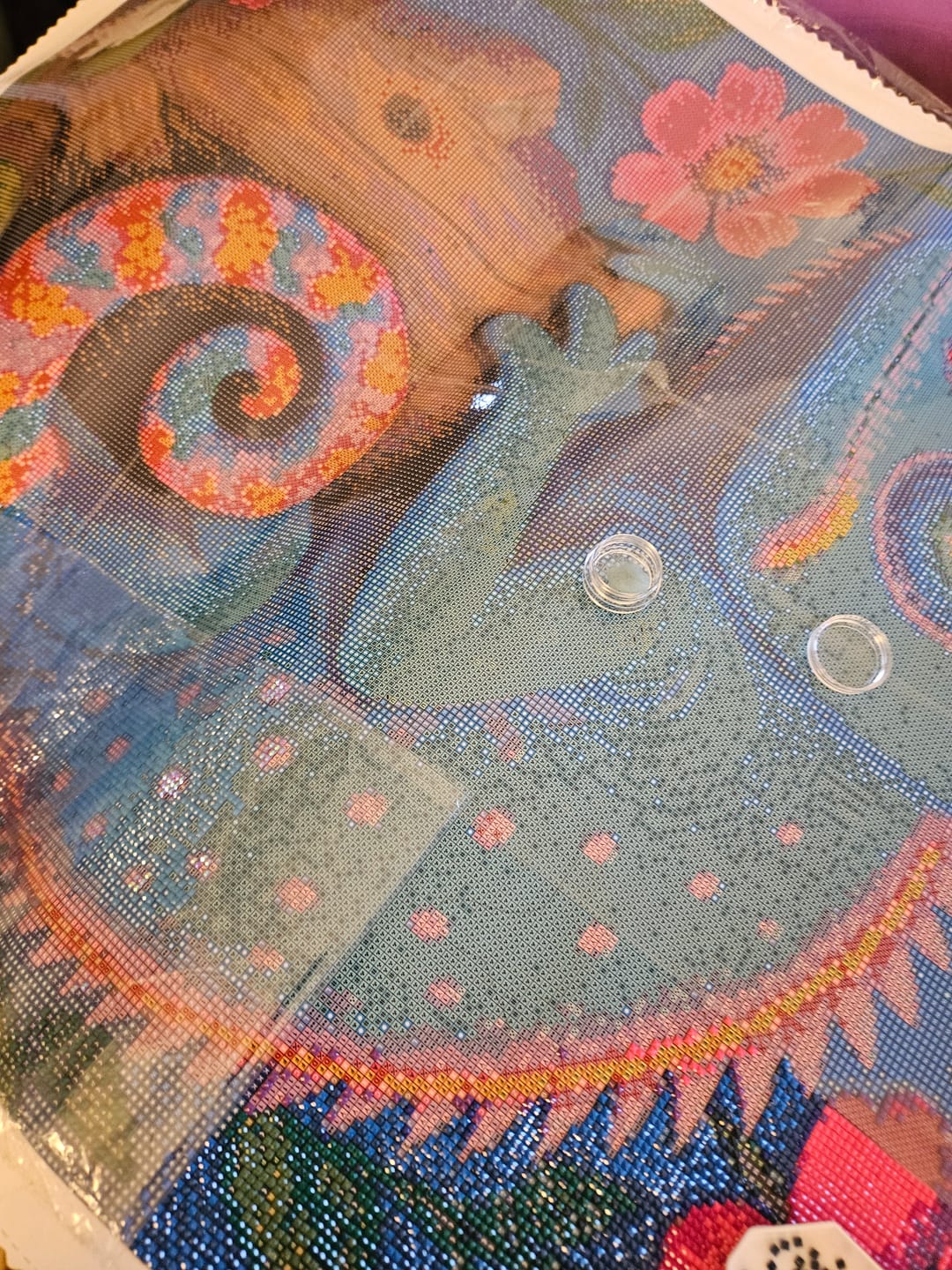 Customer photo review of Blue Chameleon