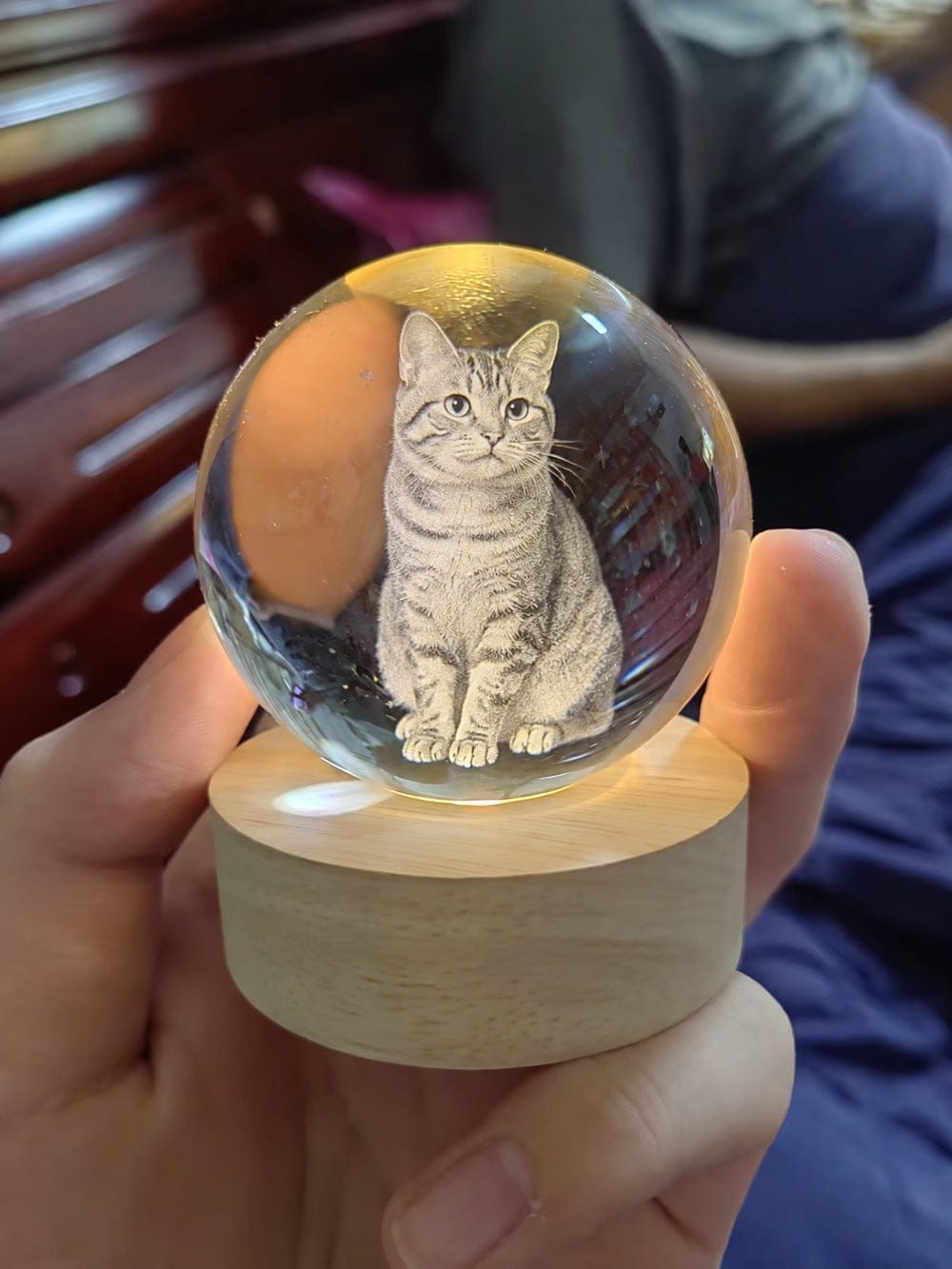 Customer photo review of 3D Pet Portrait Sculpting Crystal Night Light