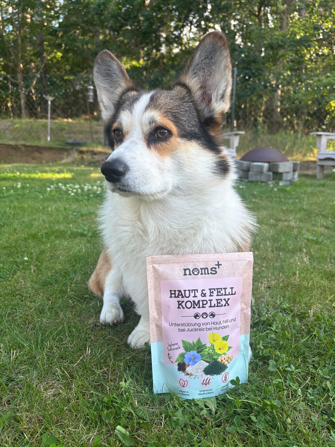 Customer photo review of Haut & Fell Komplex für Hunde
