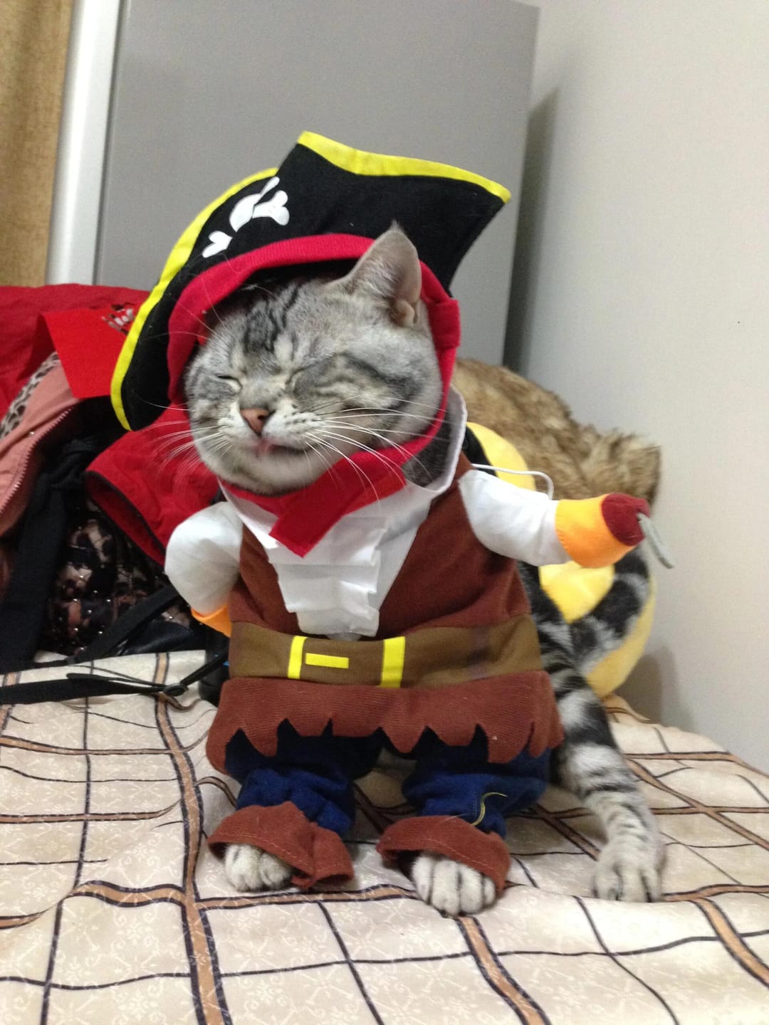 Customer photo review of Costume Pirates of The Caribbean Style