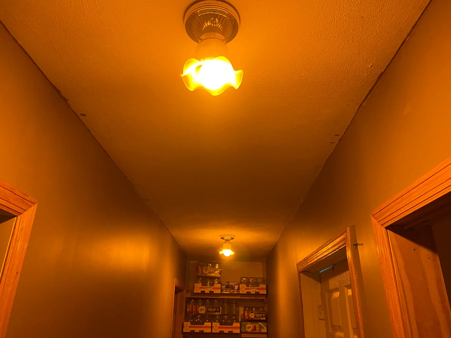 Customer photo review of Circadian Lightbulb™