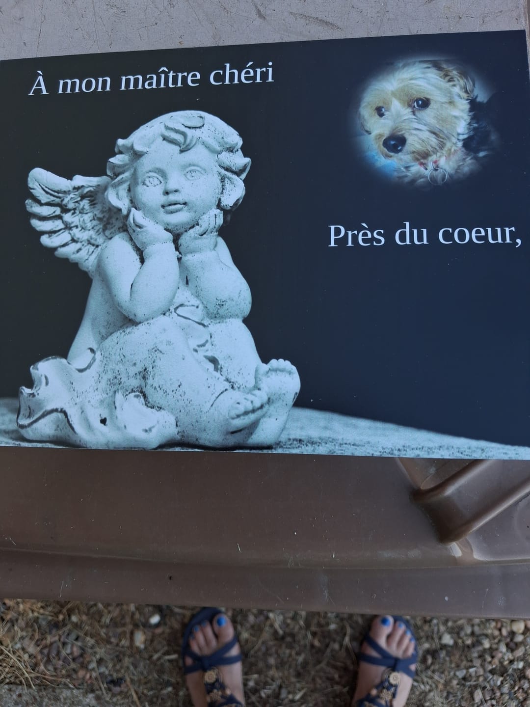 Customer photo review of Plaque Funéraire Ange Chérubin