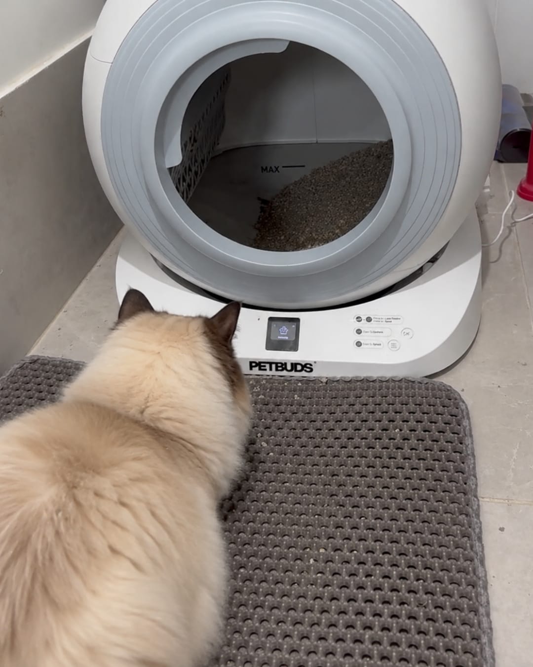 Customer photo review of The Petbuds Q-CLEAN Automatic Self-Cleaning Litter Box
