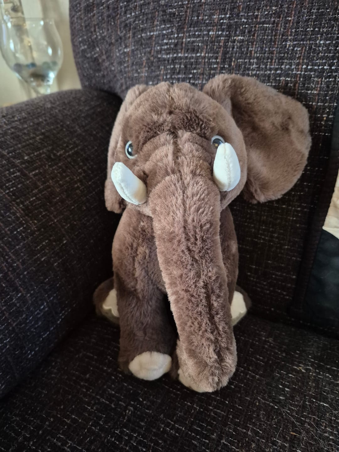 Customer photo review of The Expedition Plush