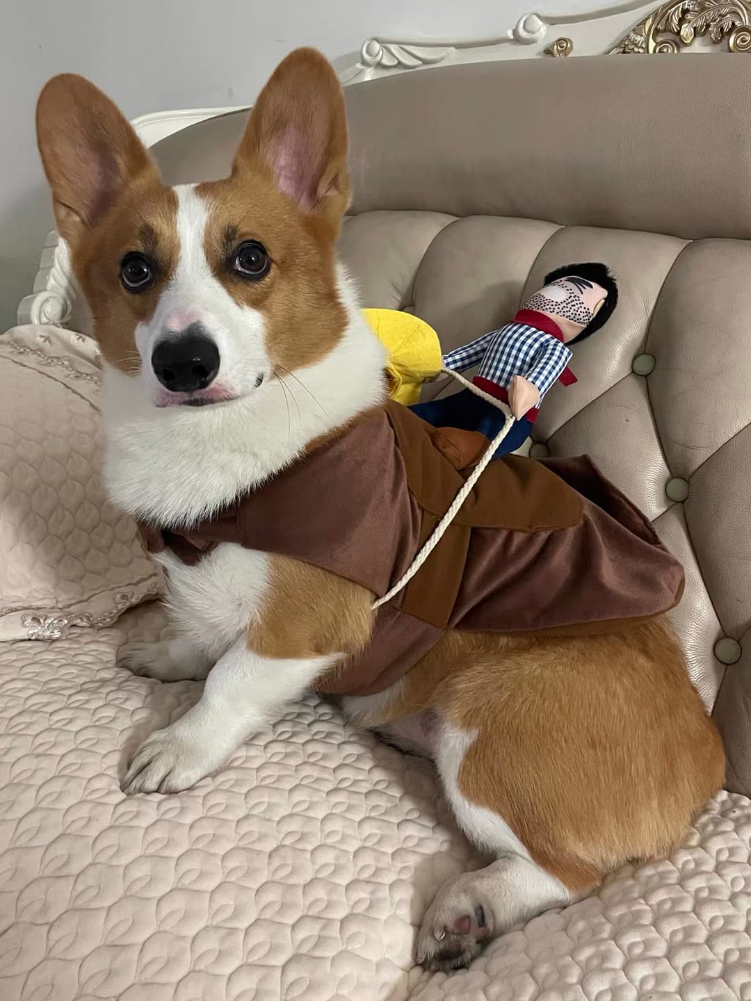 Customer photo review of Cowboy costume