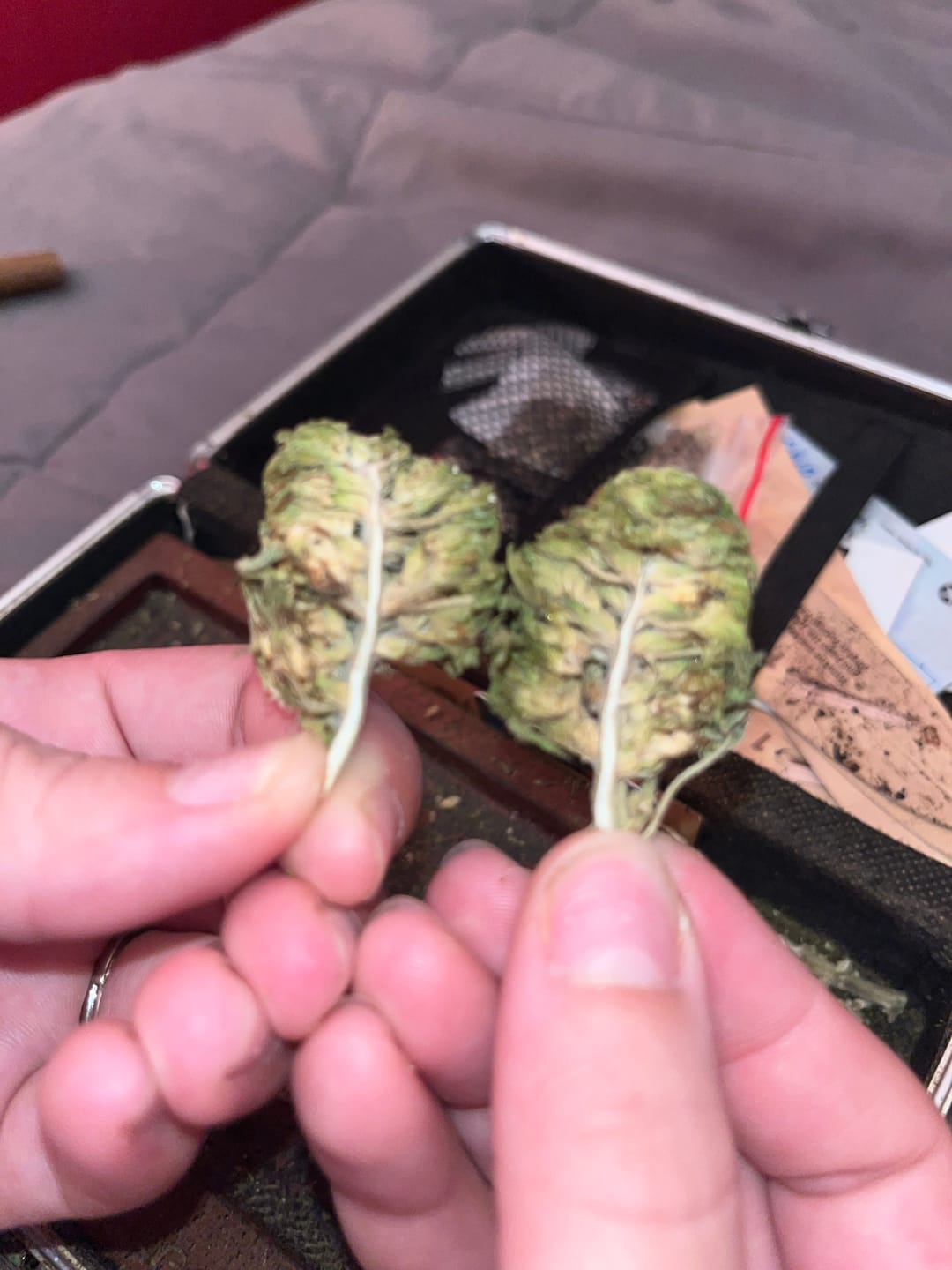 Customer photo review of Fire OG - Bulk - Indica