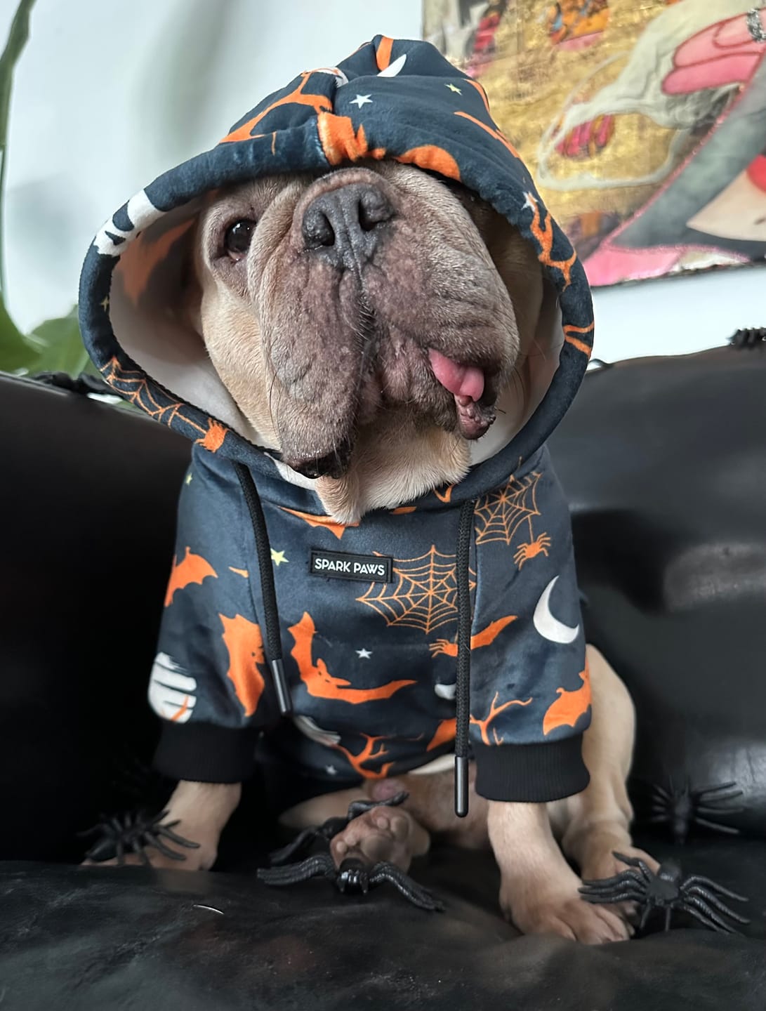Customer photo review of Halloween Dog Hoodie - Black (2)