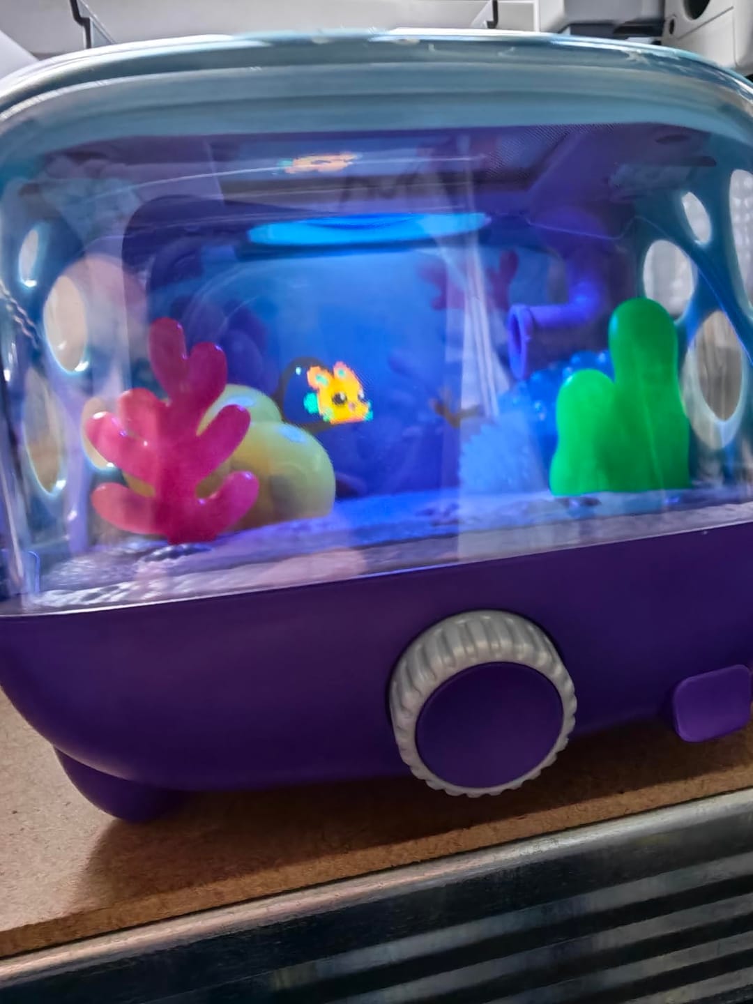 Customer photo review of Bitzee Aquarium Fish Tank