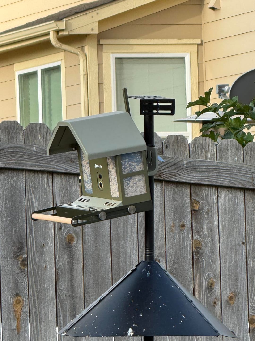 Customer photo review of Birdfy Feeder Metal 2 4K - Smart Bird Feeder with Camera
