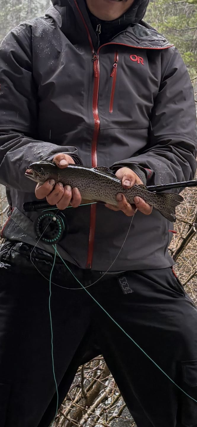 Customer photo review of FIRST CAST Light 4wt / 7ft – Travel Fly Rod