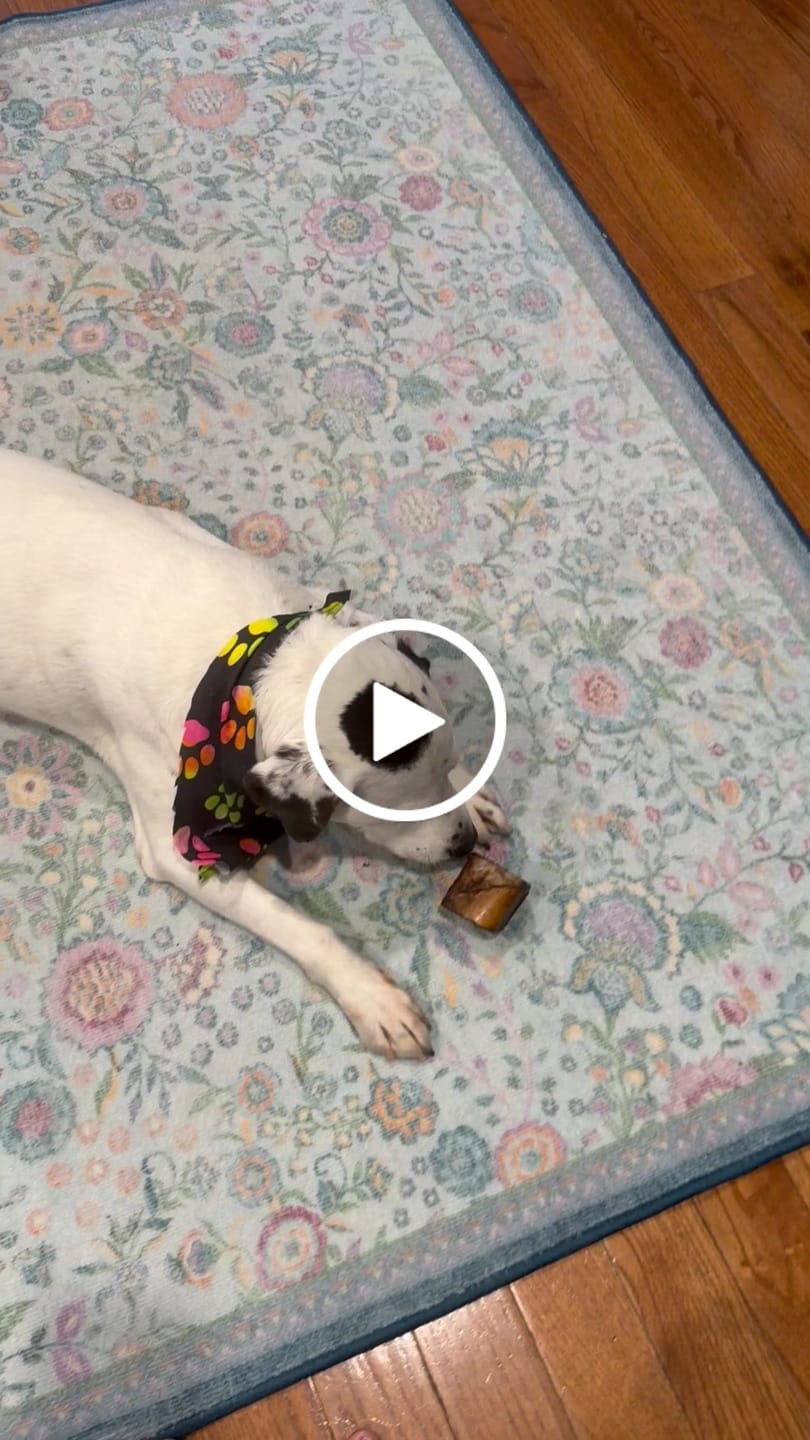 Customer video review of Smoked Beef Marrow Bones