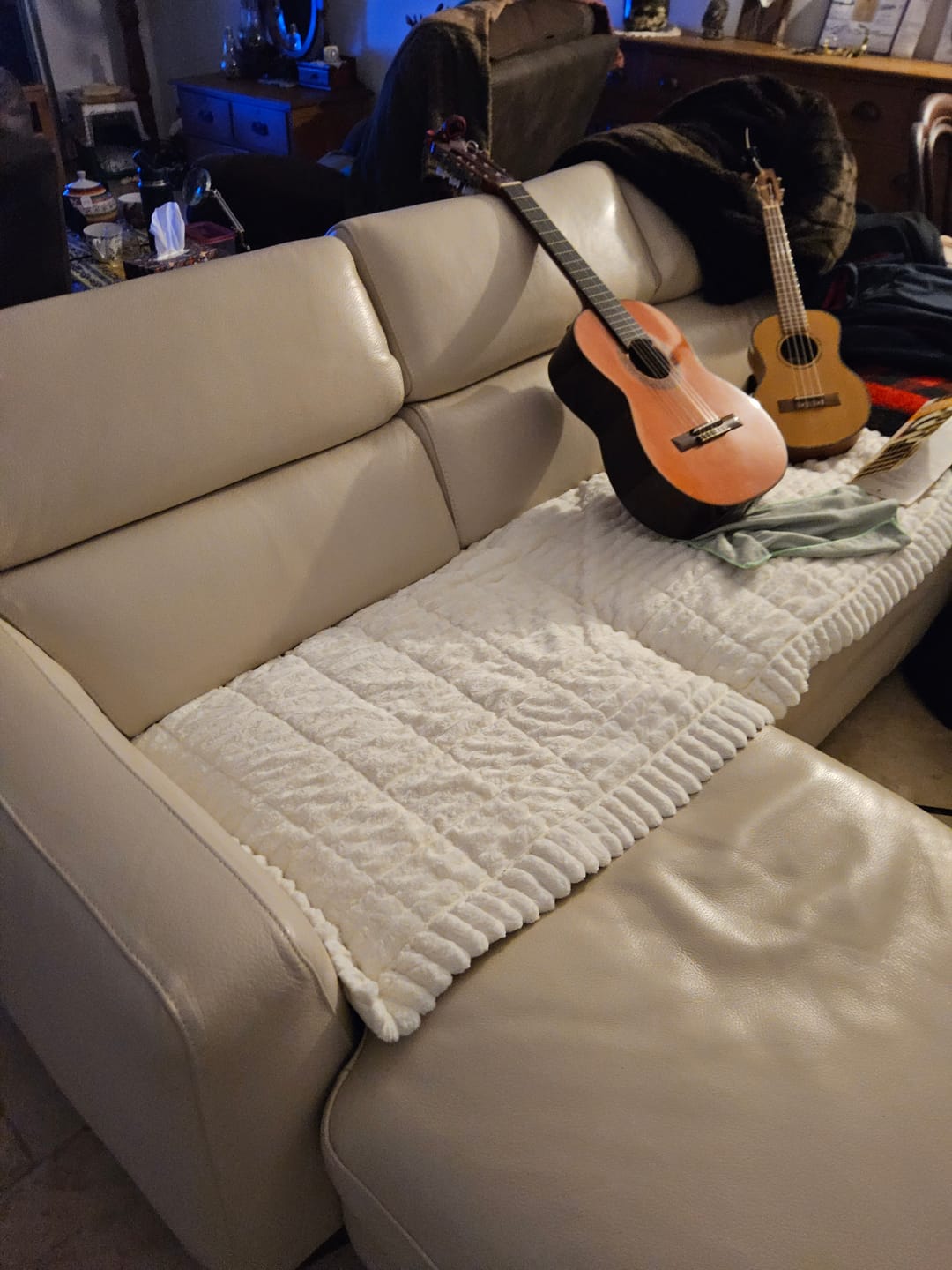 Customer photo review of CouchCloud - Couch Covers