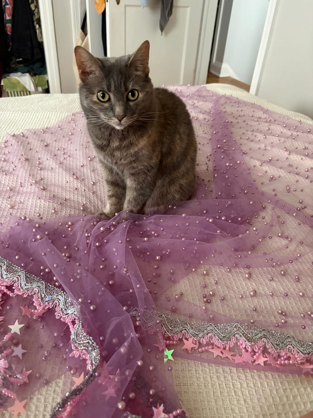 Customer photo review of Magenta Pearl Tulle