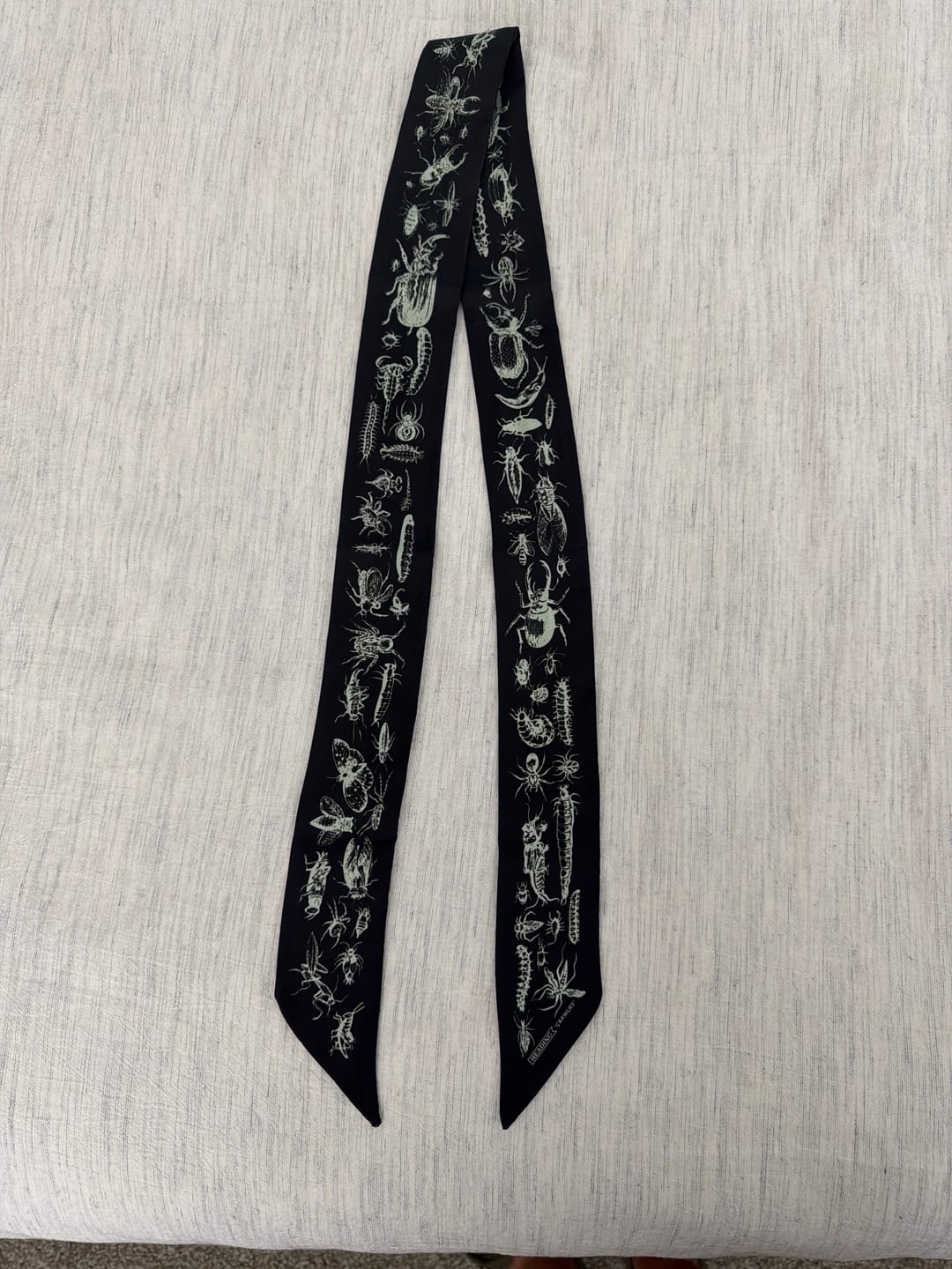Customer photo review of Crawlies Skinny Scarf