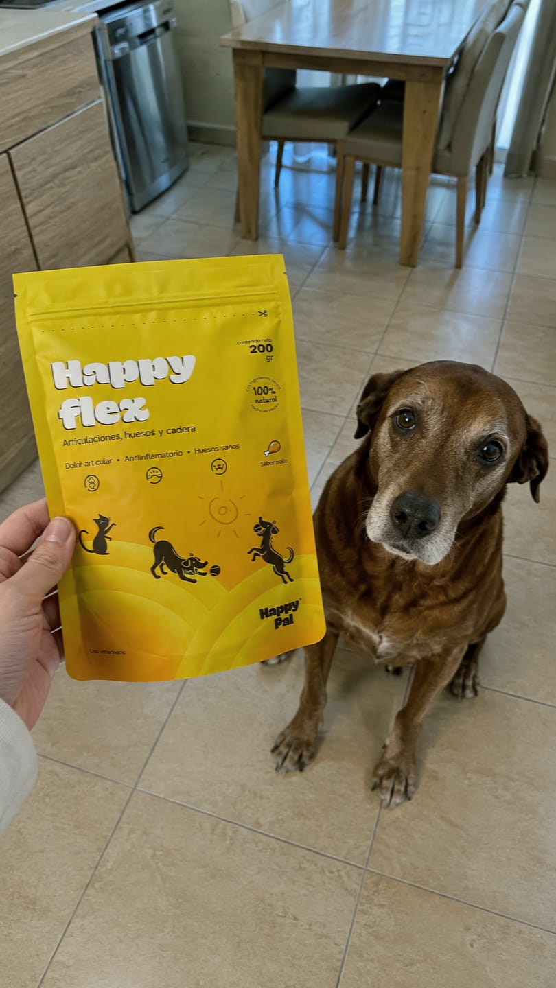 Customer photo review of Happy Pal I Happy Flex I Suplemento Para Articulaciones de Perros y Gatos