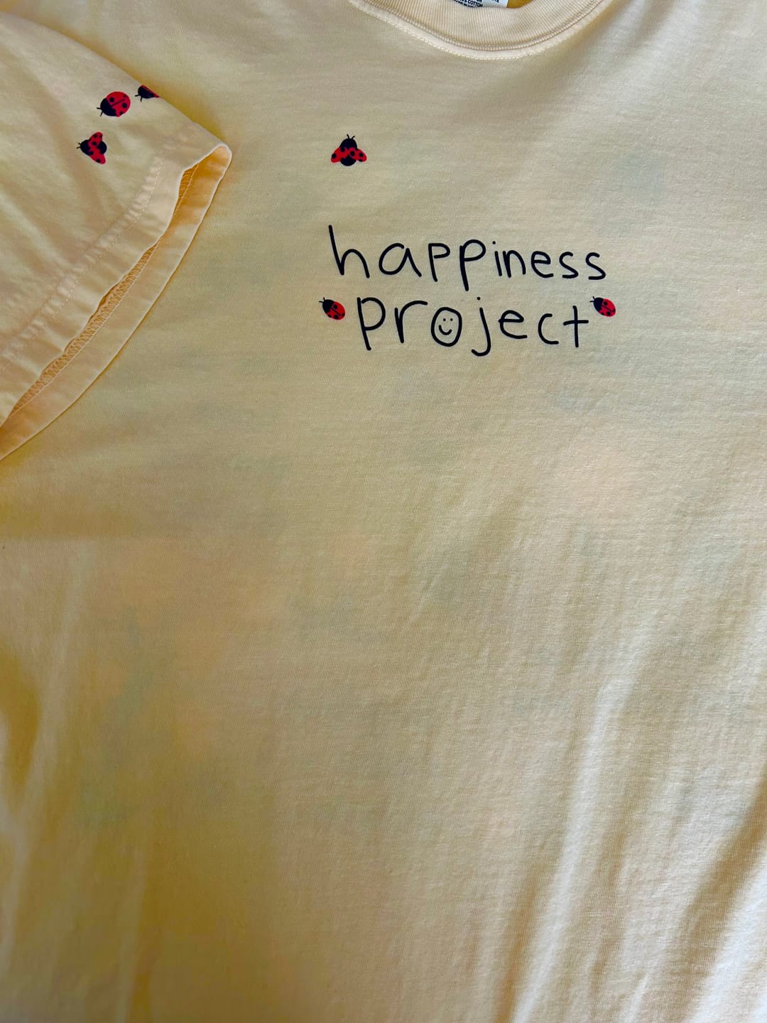 Customer photo review of Ladybug T-Shirt