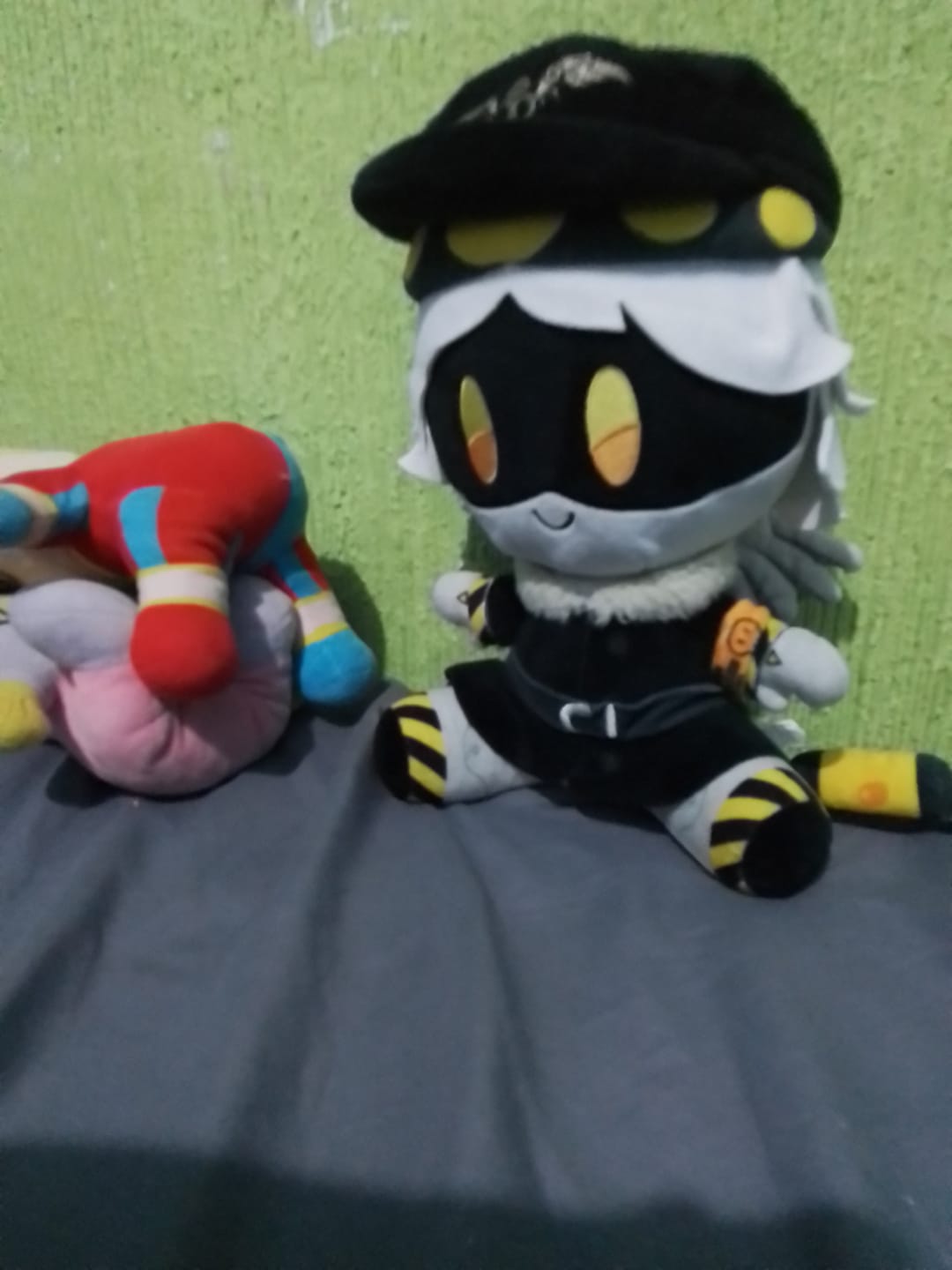 Customer photo review of N Plush