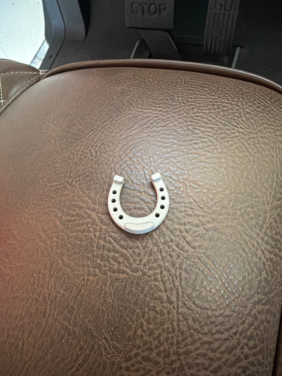 Customer photo review of PLAY BOLD LUCKY HORSESHOE MARKER - Stainless Steel
