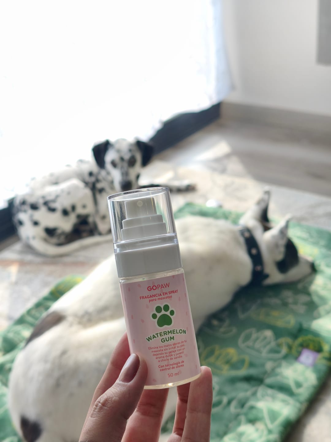 Customer photo review of Kit Spa en Casa — 2 Shampoos + Fragancia 250 ml + Cepillo