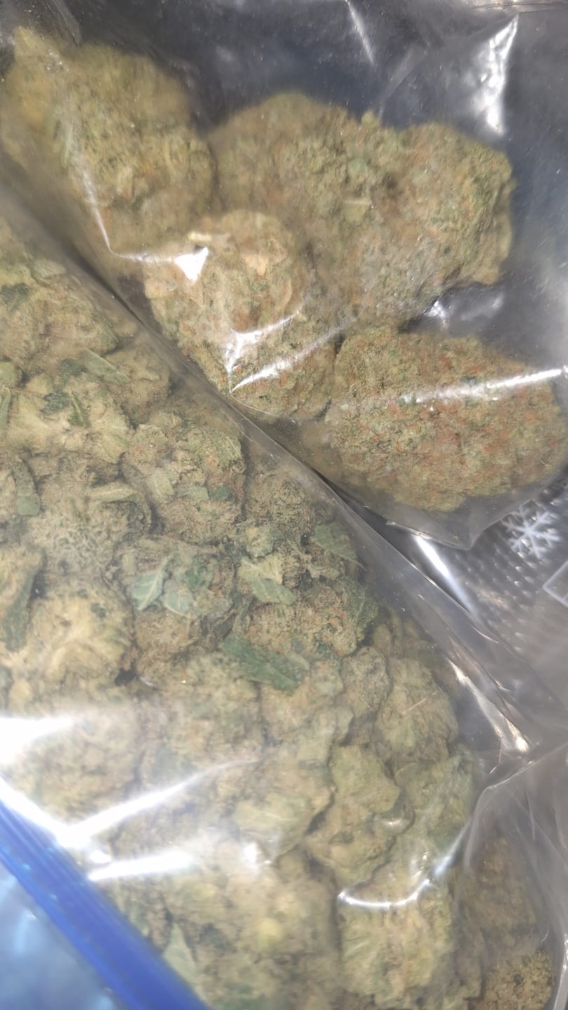 Customer photo review of Biscotti THCA Flower (Budget)