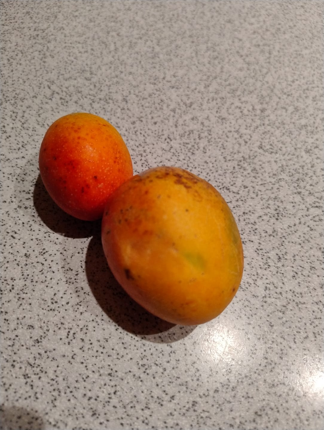 Customer photo review of Baby-Mango Irwin Bio von Julian