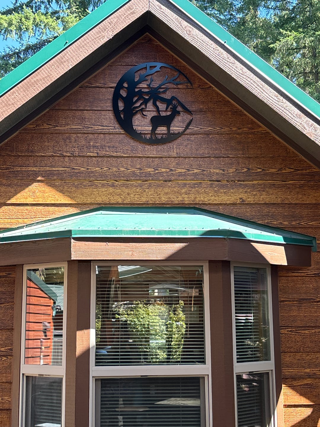 Customer photo review of Moonlit Stag Wall Art