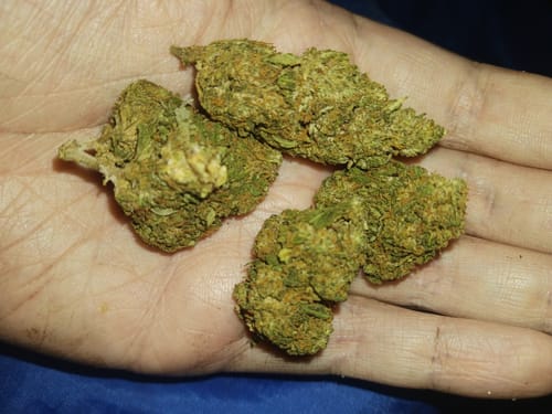 Elite Boutique Exotics - Cherry Poppers - 4 Grams - Hybrid photo review