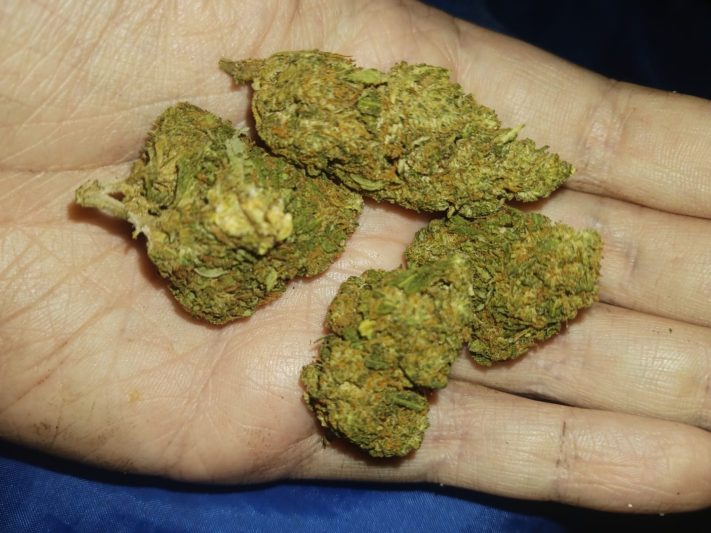 Customer photo review of Jager Sour Diesel - 28 Grams - Hybrid