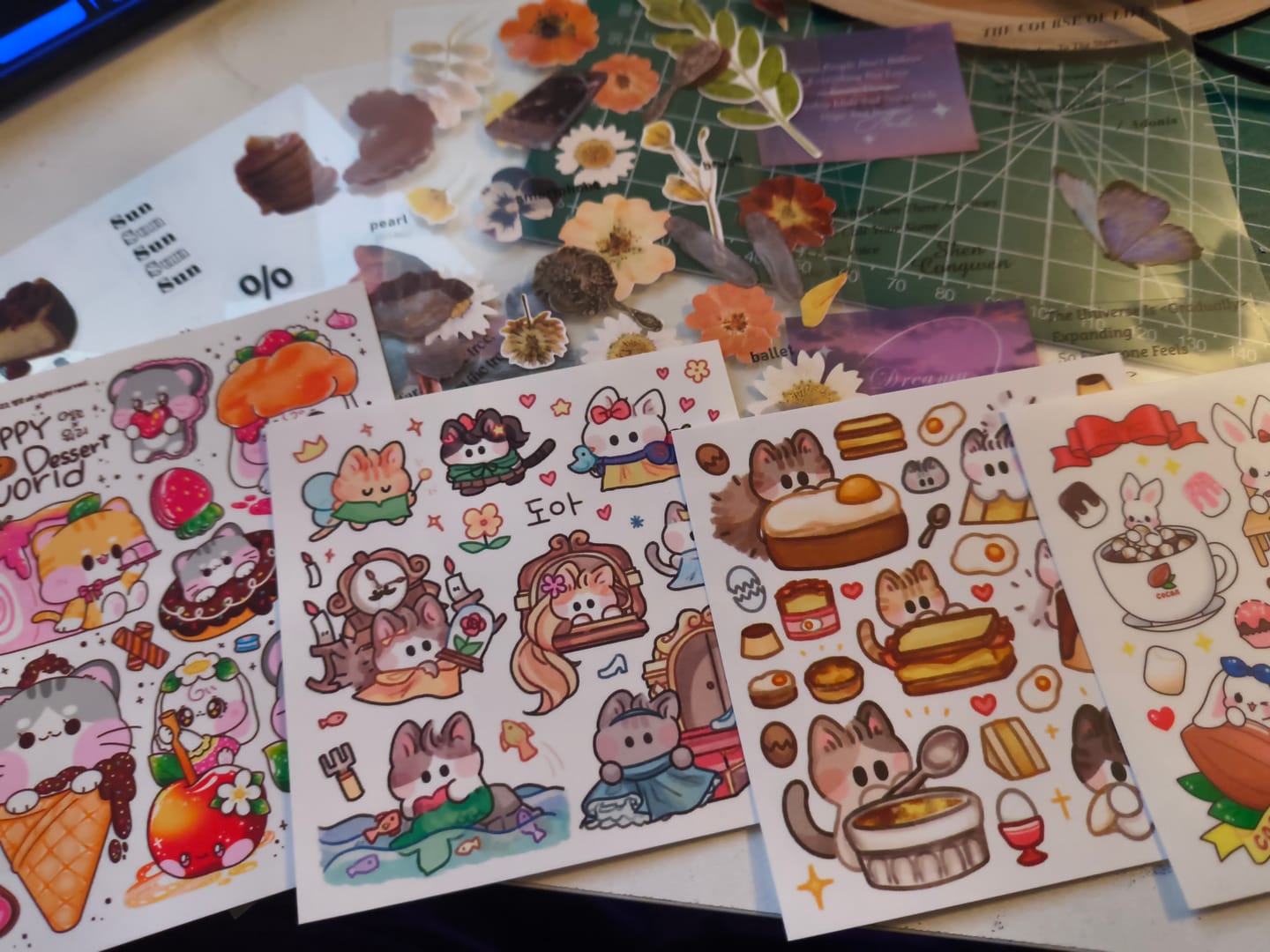 Customer photo review of KSticker Blind Box | Hand Selected From Over 100 Designs