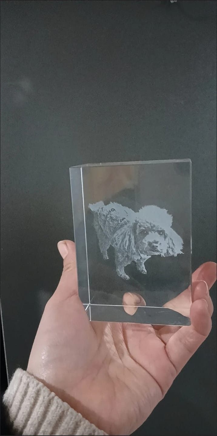 Customer photo review of 3D Pet Portrait Sculpting Crystal Night Light