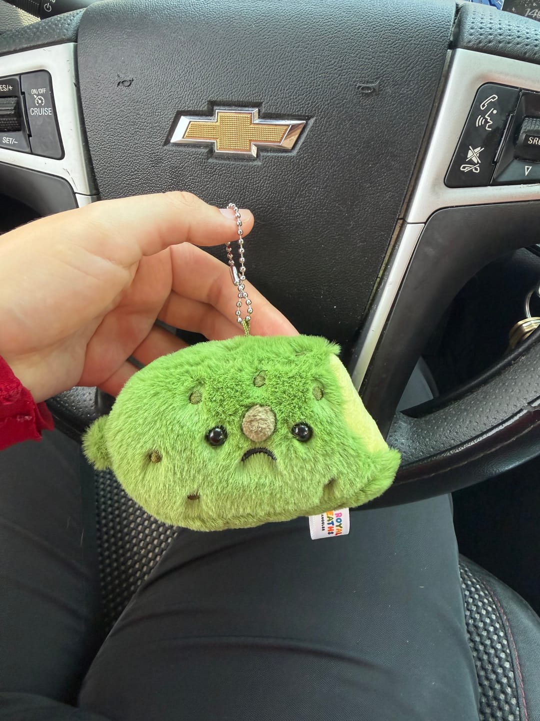 Customer photo review of Forgotten Bitten Pickle
