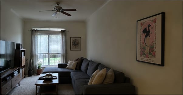 Customer photo review of Black Dragon Canvas Wall Art